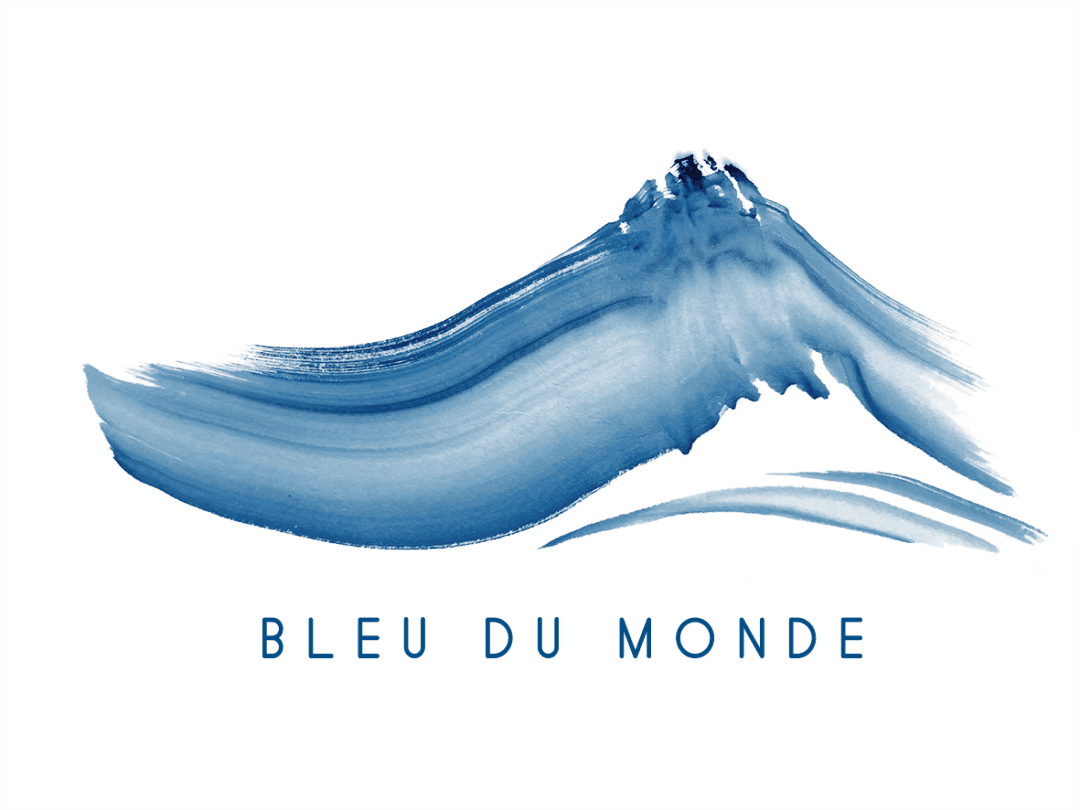 WeMaDi   Logo   Bleu Du Monde